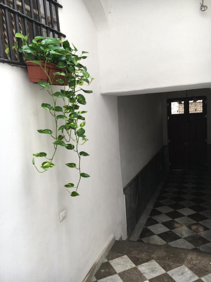 La Casa Sul Mercato Antico *